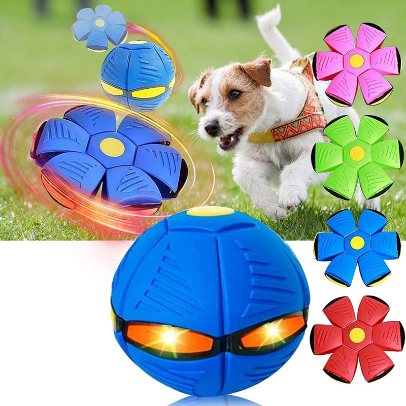Brinquedo Interativo Para Cachorro | Dog Bal - Lojas Want