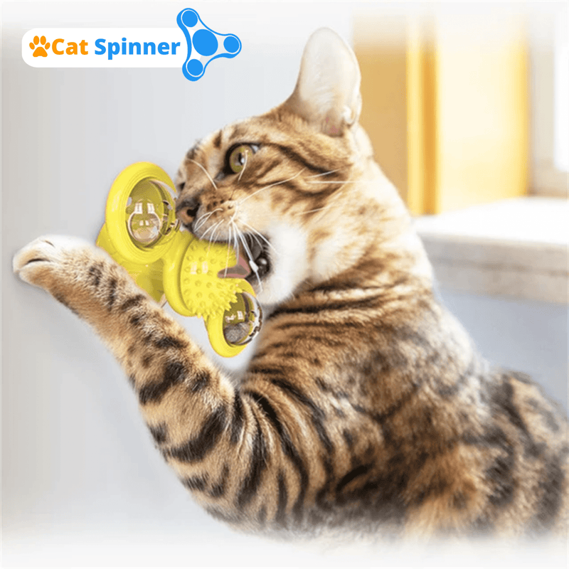 Brinquedo Para Gatos | Cat Spinner - Lojas Want
