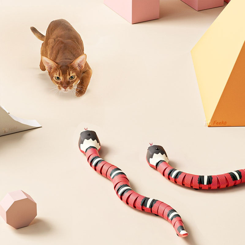 Cobra Eletrônica para Gatos I Snake Toys Lojas Want