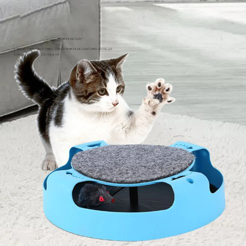 Brinquedo Interativo Para Gato I Cat Leap