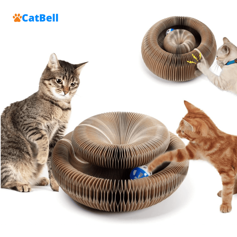 Brinquedo Para Gatos I Cat Bell I Lojas Want