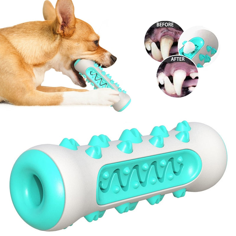 Brinquedo Para Cachorro I Dog Molar - Lojas Want